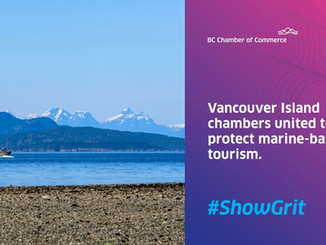 It's Chamber Week!