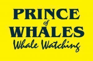 princeofwhales_s550