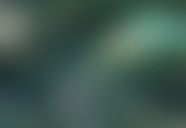 Congratulations to U'kwanalis (Kingcome) on the announcement of investment into renewable energy