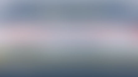 All-Candidates Meeting; All-You Need to Know. (Including the questions.)