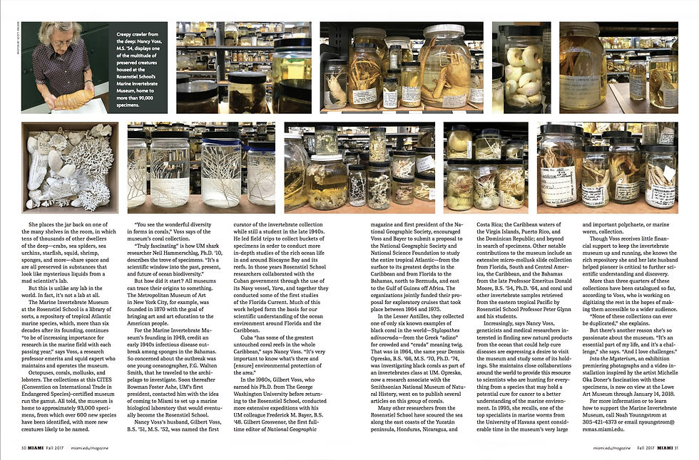 Miami Magazine - Hidden Treasure