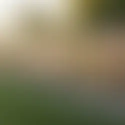 Cost to Install Fence Per Foot: A Full Breakdown