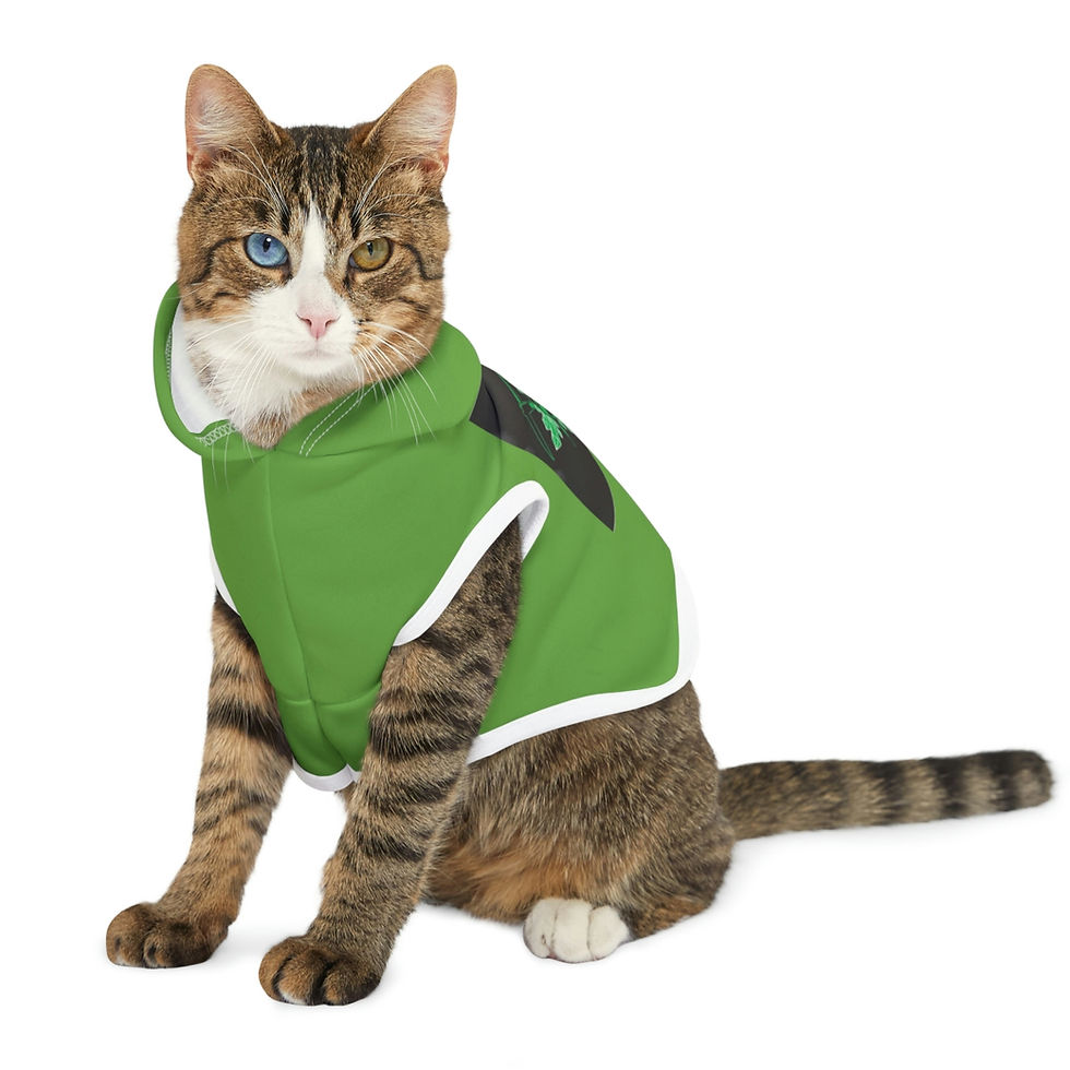 Pikkukuva: Pet Hoodie
