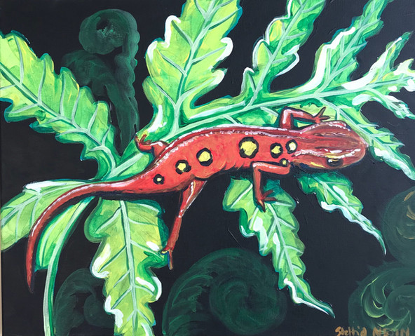 newt statia.jpg