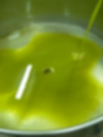 olio del separatore