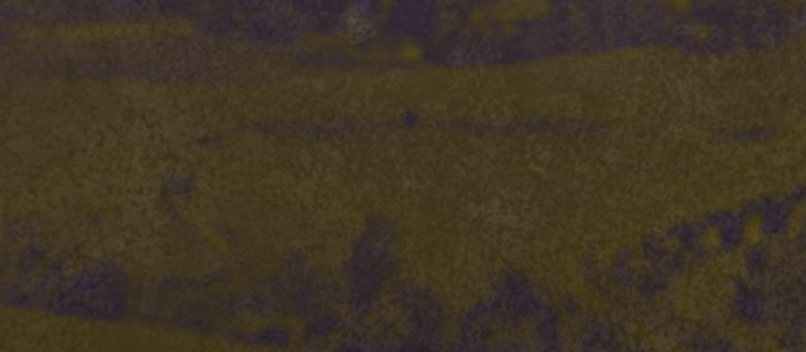 Screenshot 2026-08-07 at 7.17.40 AM.png