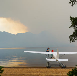 Caught in a Wildfire