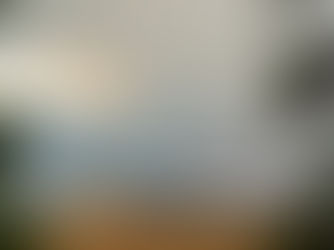 Caught in a Wildfire