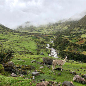 Why You Should Choose Lares Trek Over Inca Trail