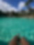 POV shot of legs sitting on ledge of pool, palm trees in distance