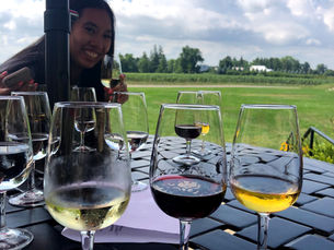 Things to do Near Toronto Before the End of Summer