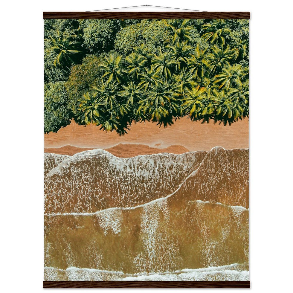 Thumbnail: Uvita Palms
