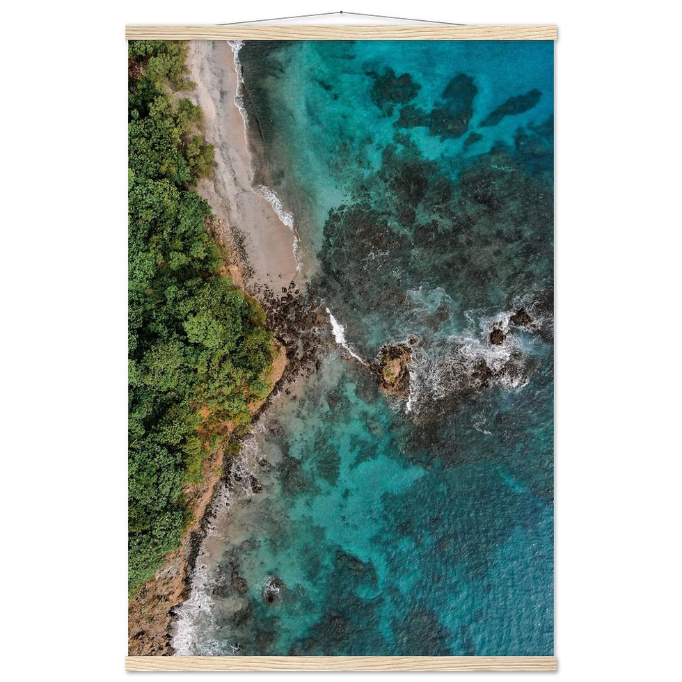 Thumbnail: Costa Coast