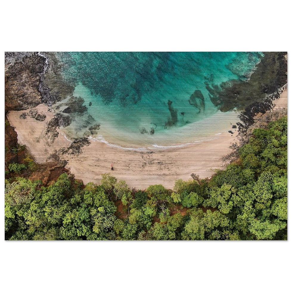 Thumbnail: Earth Sand Sea