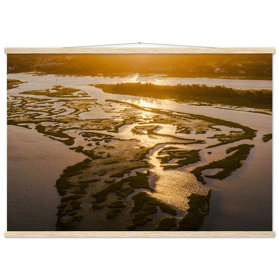 Thumbnail: Liquid Gold