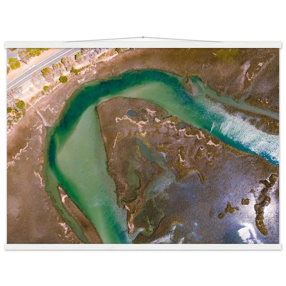 Thumbnail: Horseshoe Marsh