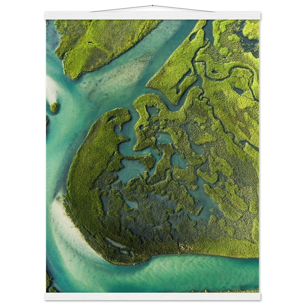 Thumbnail: Dino Marsh