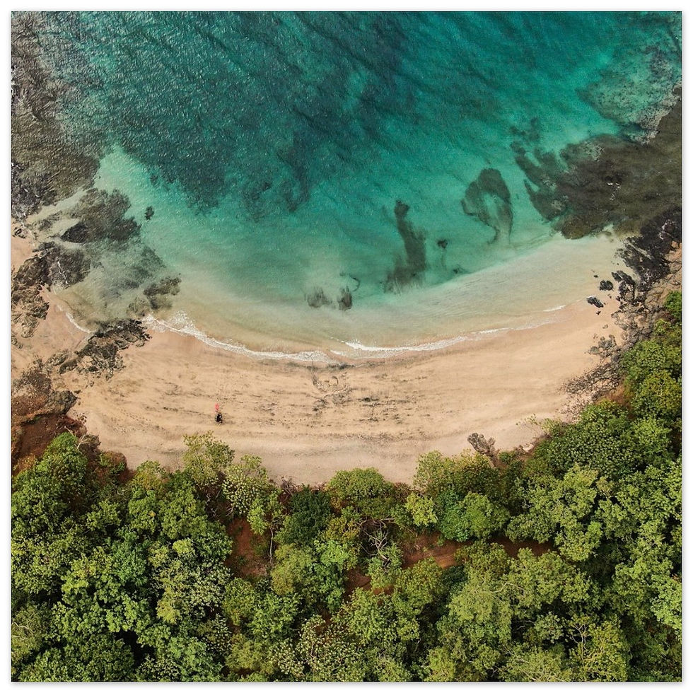 Thumbnail: Earth Sand Sea