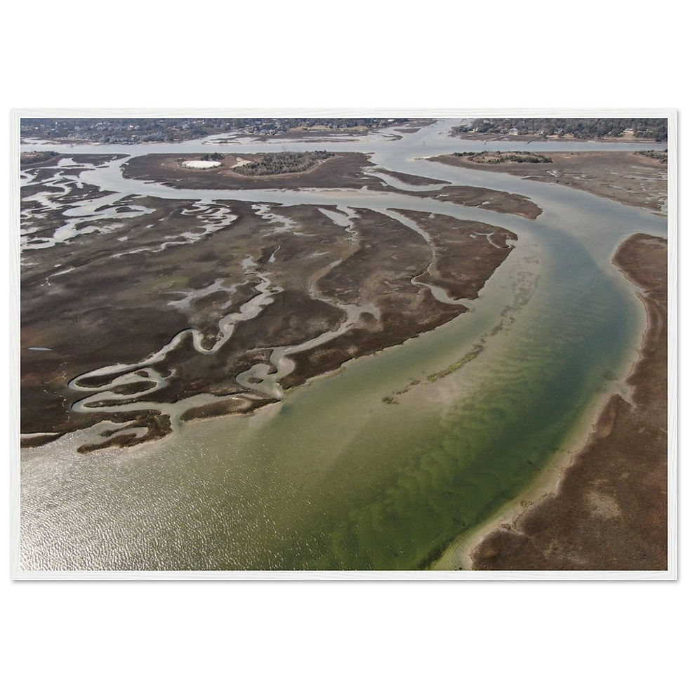 Thumbnail: Moody Marsh