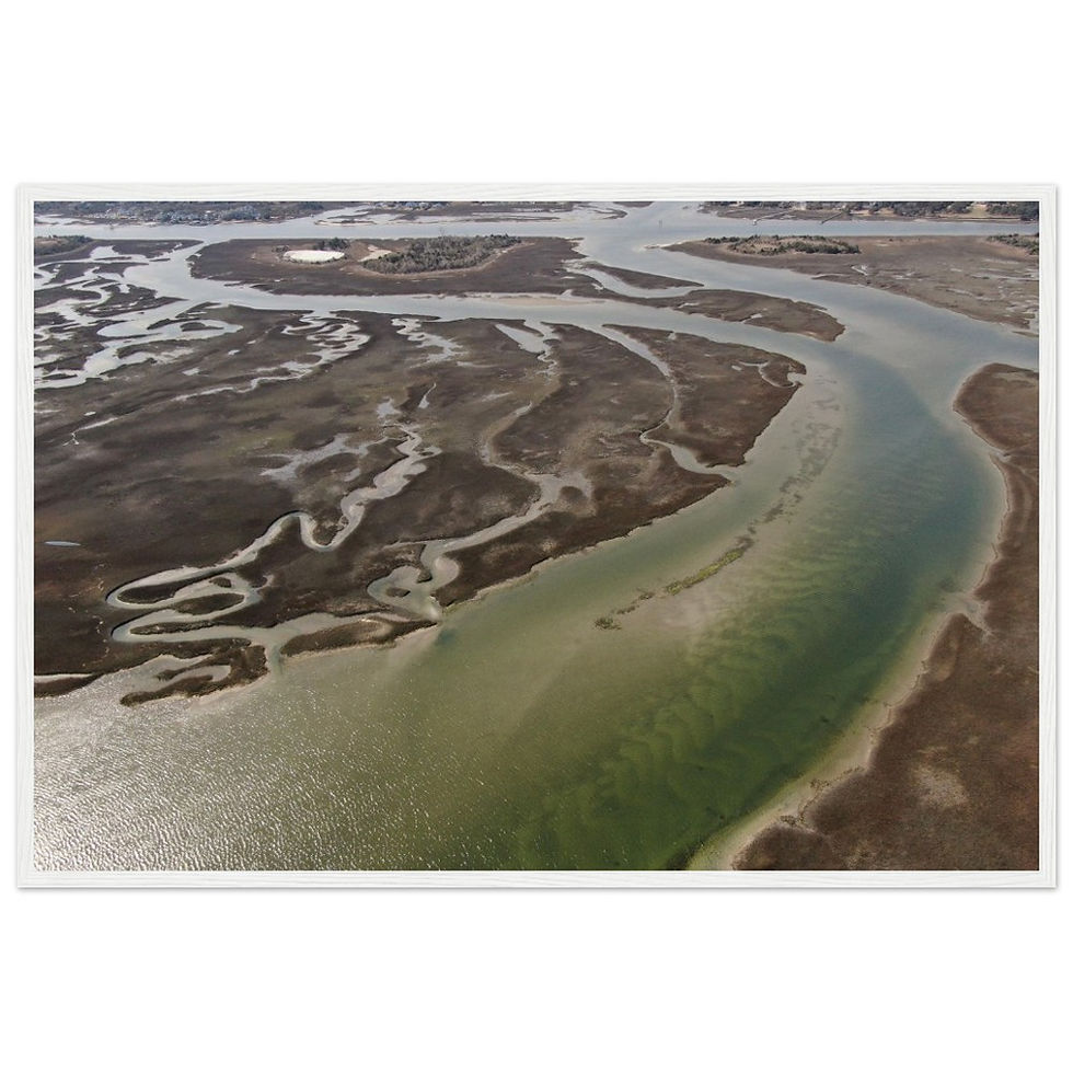 Thumbnail: Moody Marsh