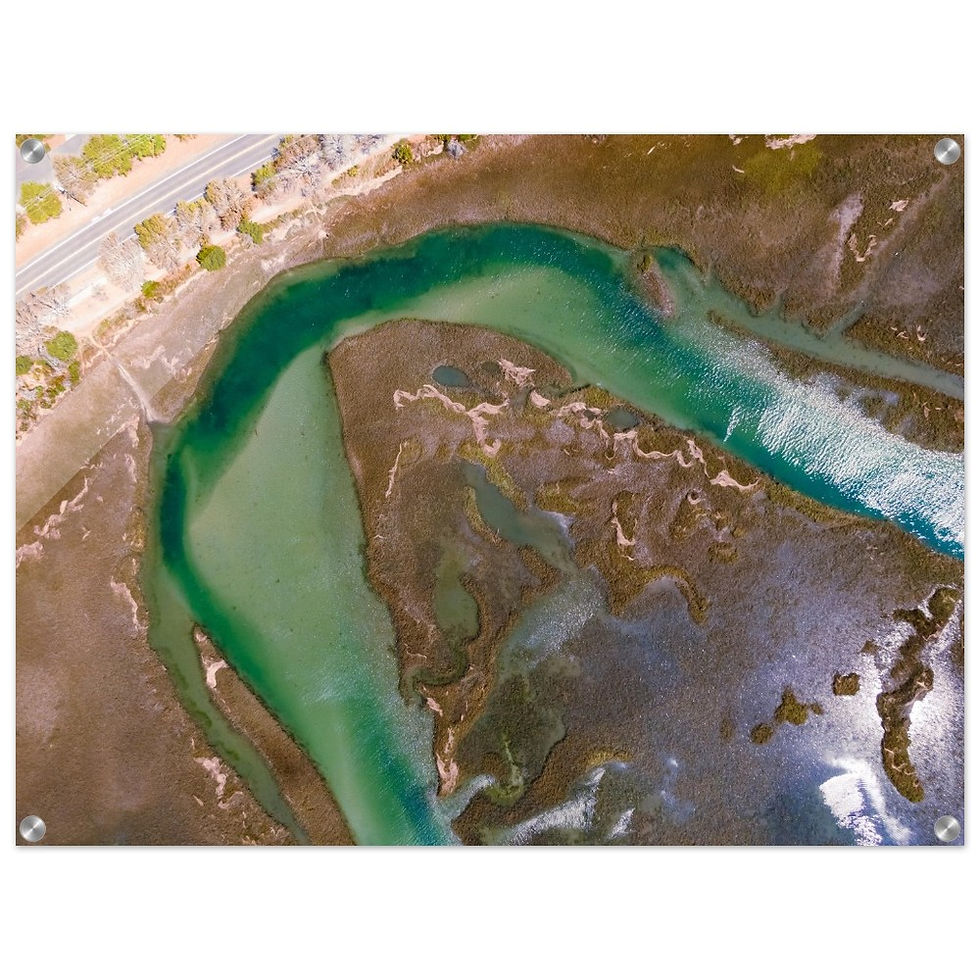 Thumbnail: Horseshoe Marsh