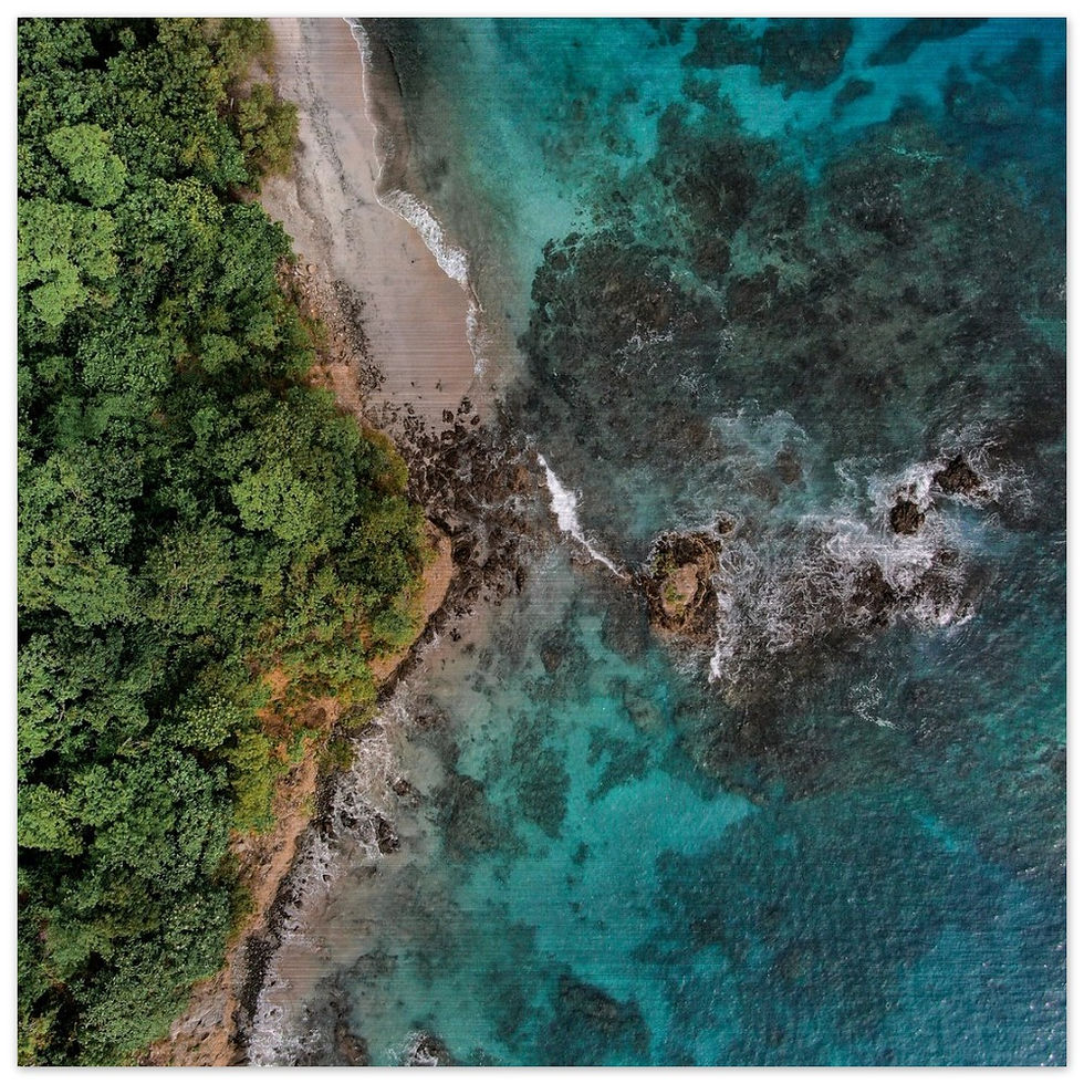 Thumbnail: Costa Coast