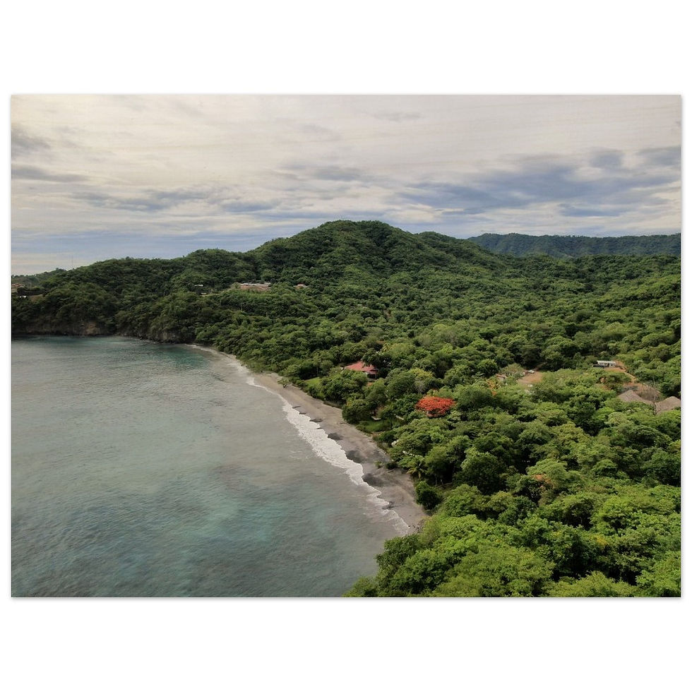 Thumbnail: A Pop of Red