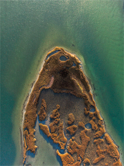 cyclops marsh (ph, l+s).jpg