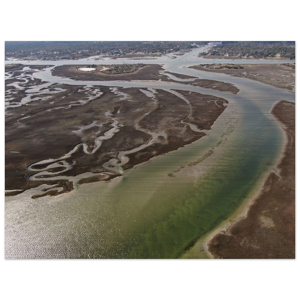 Thumbnail: Moody Marsh