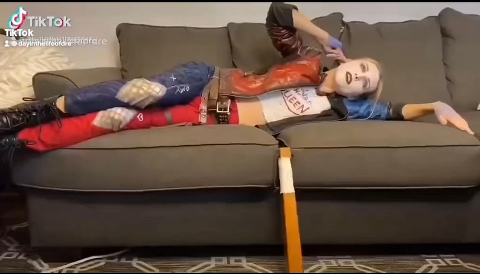 Harley Quinn Video Game