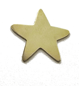 star journal charm_edited_edited_edited_edited.png