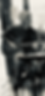 Puma image.png