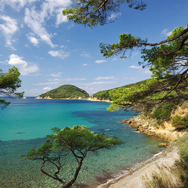 Elba Tour - Gita in barca all'Isola d'Elba