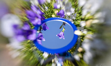 Pentacon auto 29mm f2.8 MC - mod front - _R5_2365.jpg