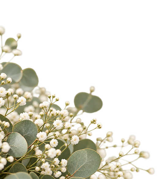 Eukalyptus und weiße Blüten als dekoratives Element der Trauringberatung