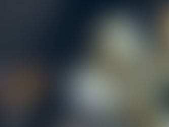 Experience the Excitement of Online Cockfighting: A New Era for Sabong Fans