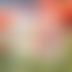 Sunday services - 22 February