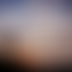 ✝️ Easter Services ✝️