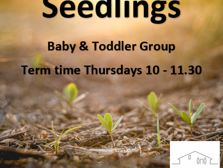 Seedlings