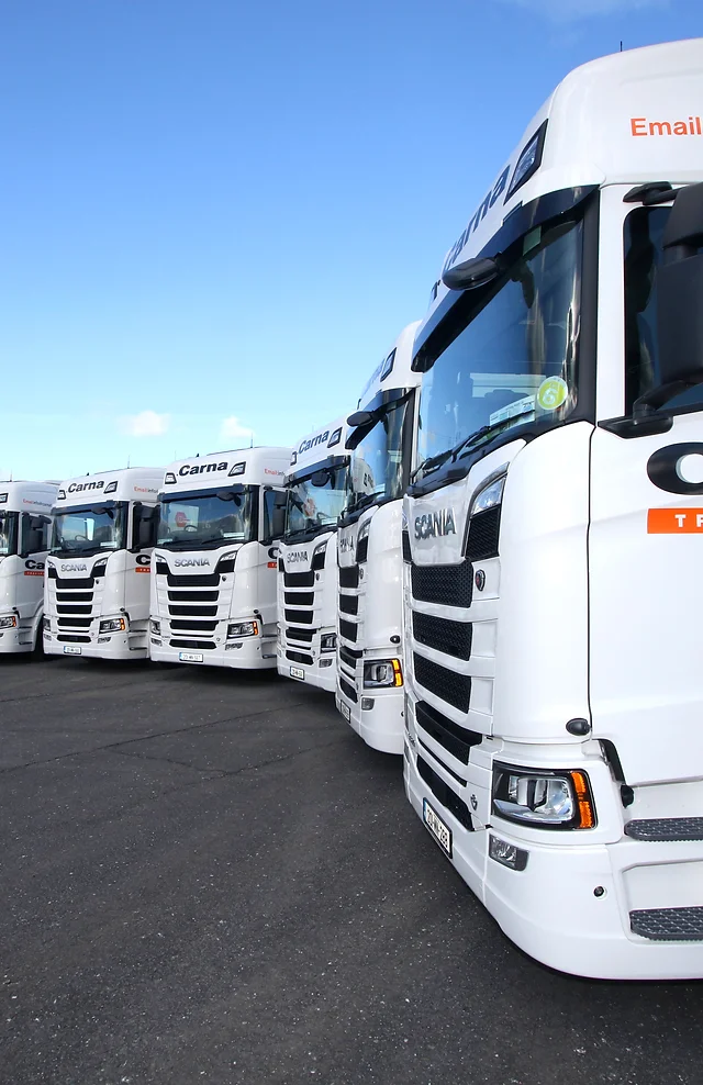 50 Years Experience Carnatspt Ie County Monaghan