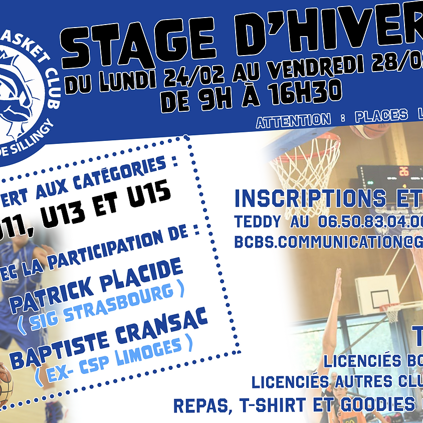 Stage d'hiver BCBS U11, U13 et U15
