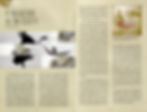 Revista Outros Criticos