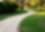 park trail with painted lines with Texas background .png
