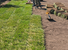 Copy of Your paragraph text-12.png