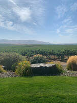 View from Fidelitas