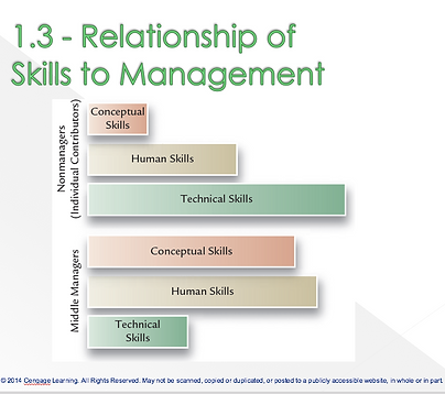 Skills to Management slide shown in Management class.