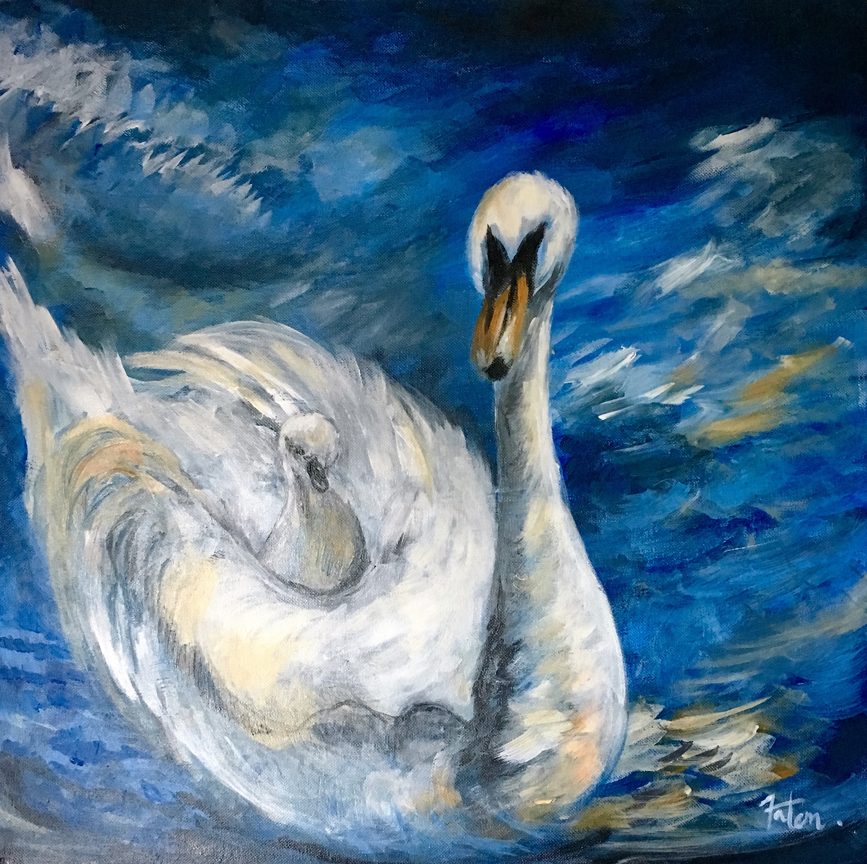 Once a cygnet