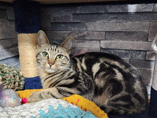 宇多田(うただ)くん /男の子