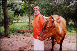 Jayadeva Gosvami - Gita Govinda