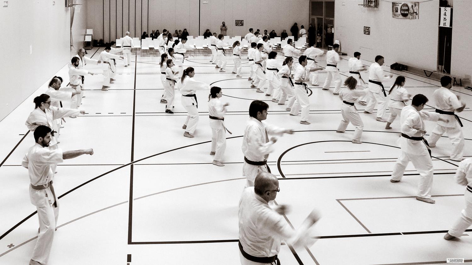 Karaté Valais Kodenkai 60 ans c1